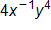 4 x raised to the negative 1 power, y to the fourth power